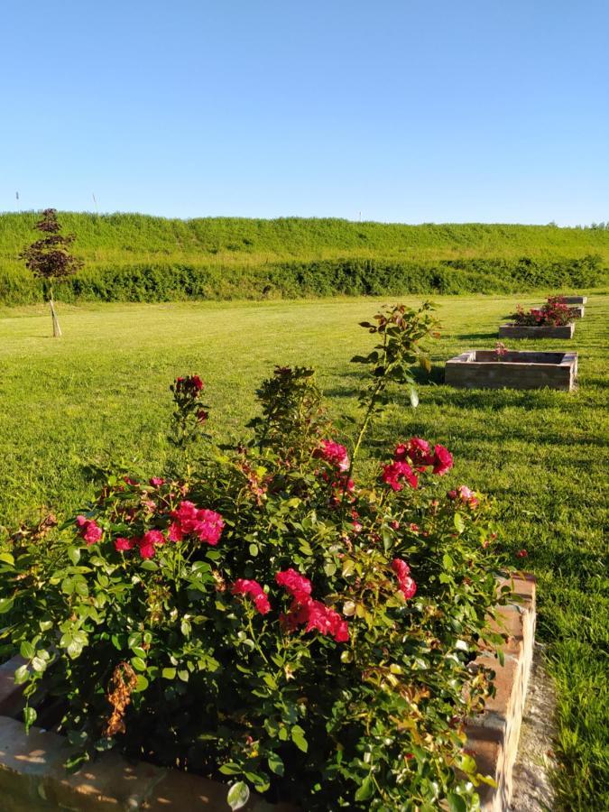 Soggiorno In Relax Correggioverde ภายนอก รูปภาพ
